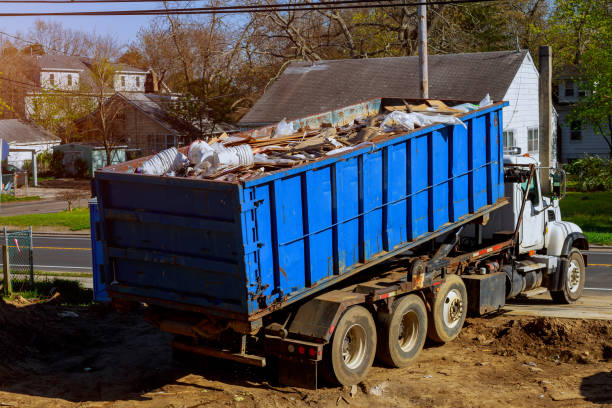 Best Shed Removal  in USA